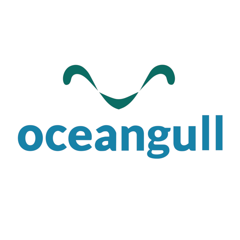 OceanGull