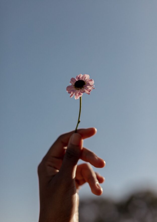 comportamento futuro do trabalho