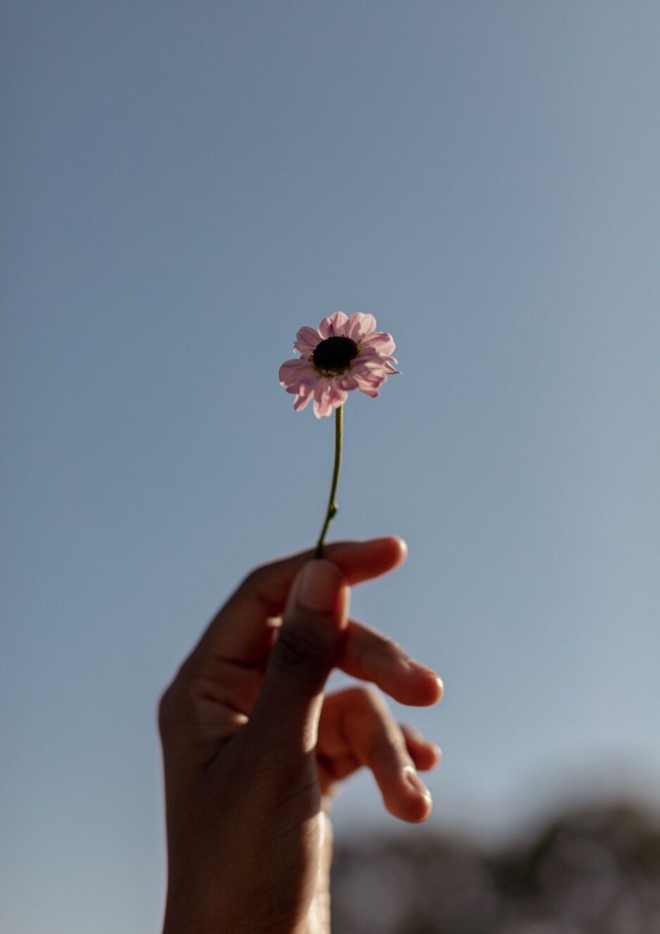 comportamento futuro do trabalho